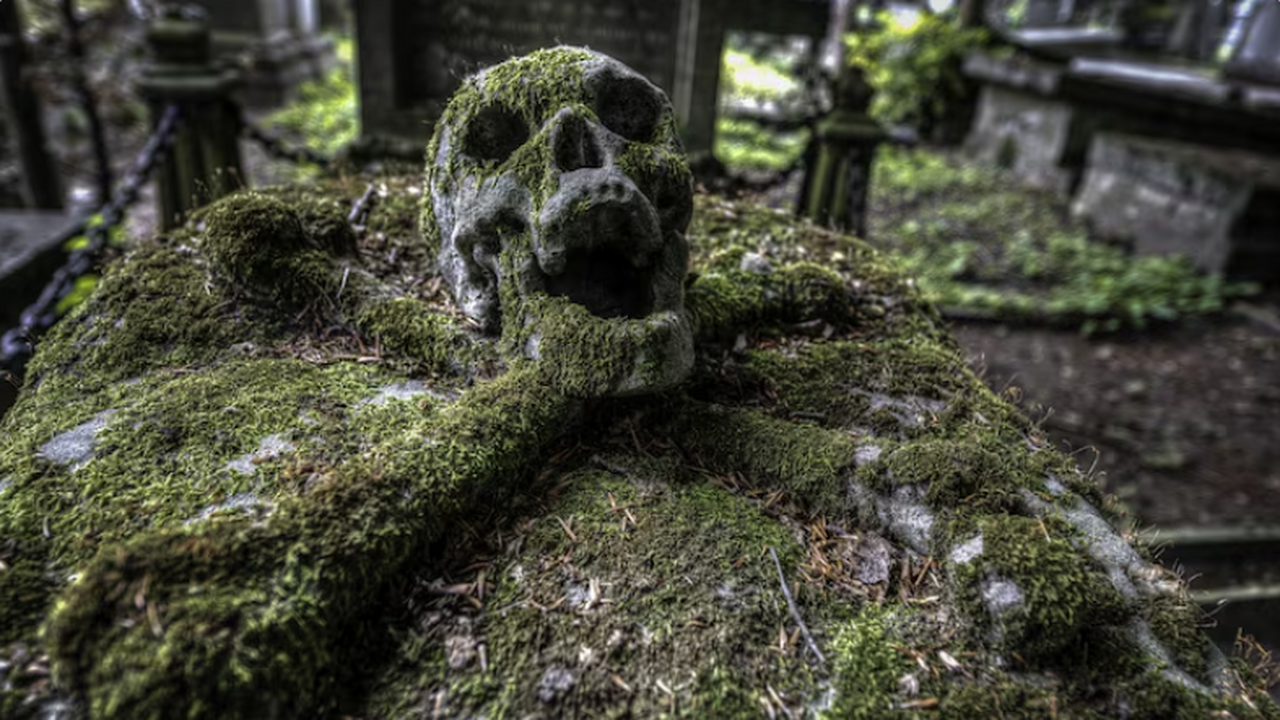 Древнее захоронение в пифосе обнаружили археоло...