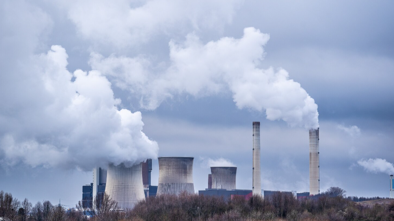 Учёные выяснили, что экологические и социальные...