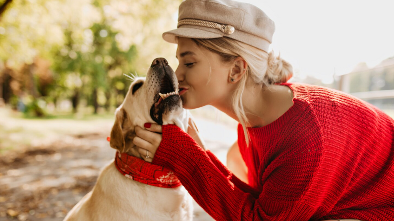 РПЦ: душа животных не бессмертна, и с их смерть...