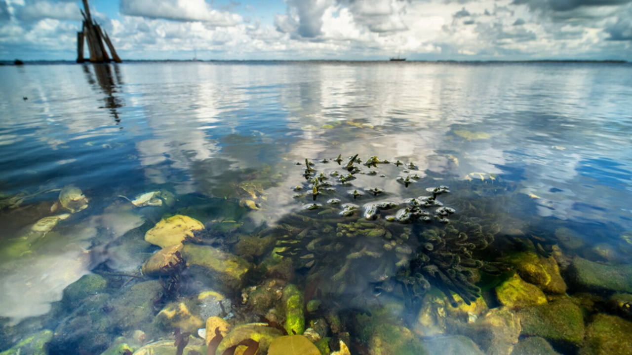 Исследователи в ходе подводных работ в озере Ле...