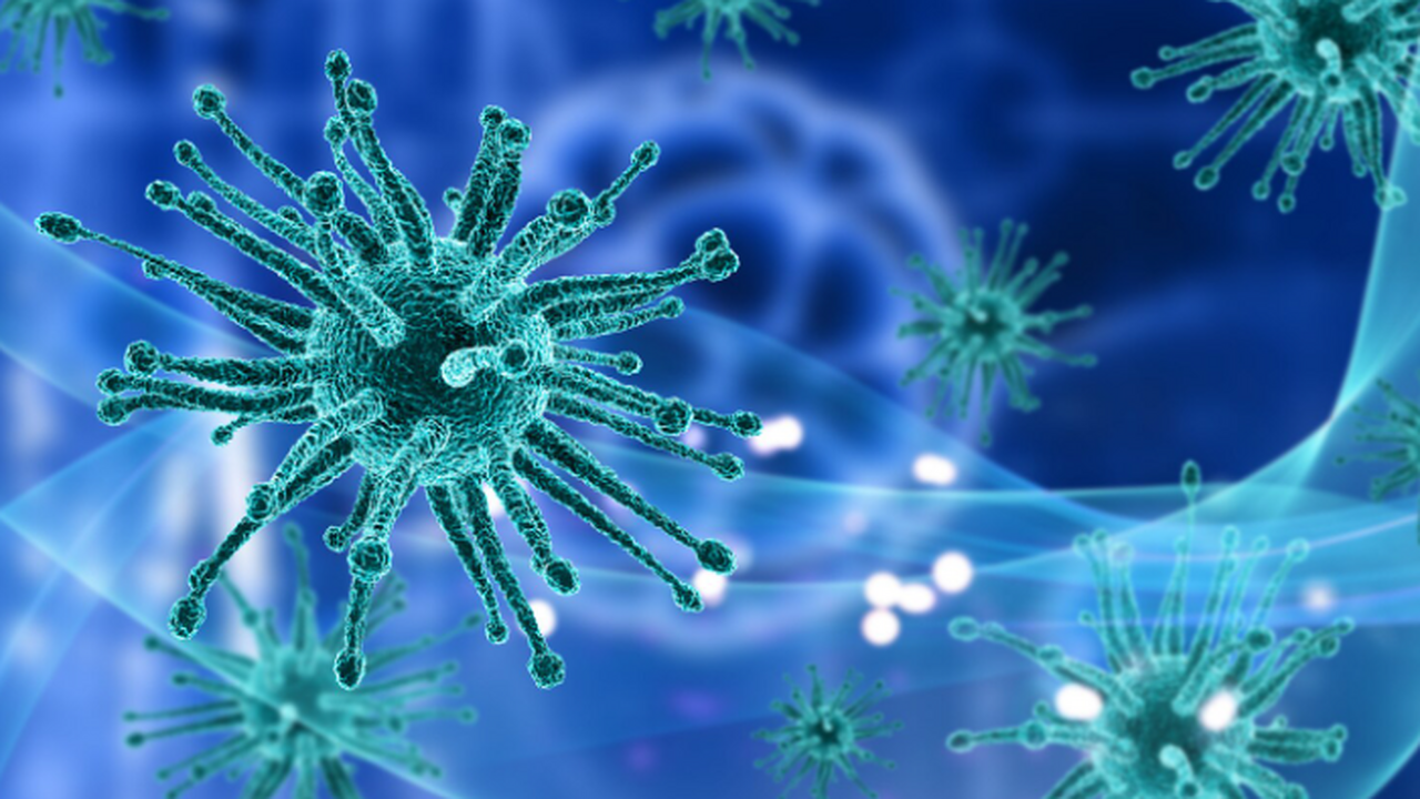 Исследование показало, что комбинация белков DL...