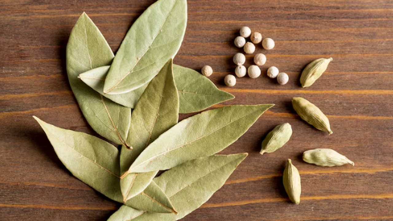 Лавровый лист всегда ношу в кошельке - и вам советую: это работает - странно, но факт Мы привыкли бросать лавр в суп — но биография э...