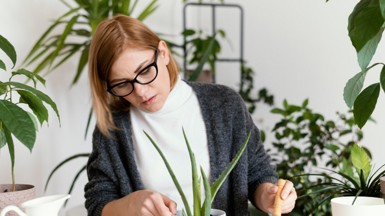 Оптимальный уровень озеленения офиса: около 20%, показало исследование Команда Стэнфордского университета разработала ...