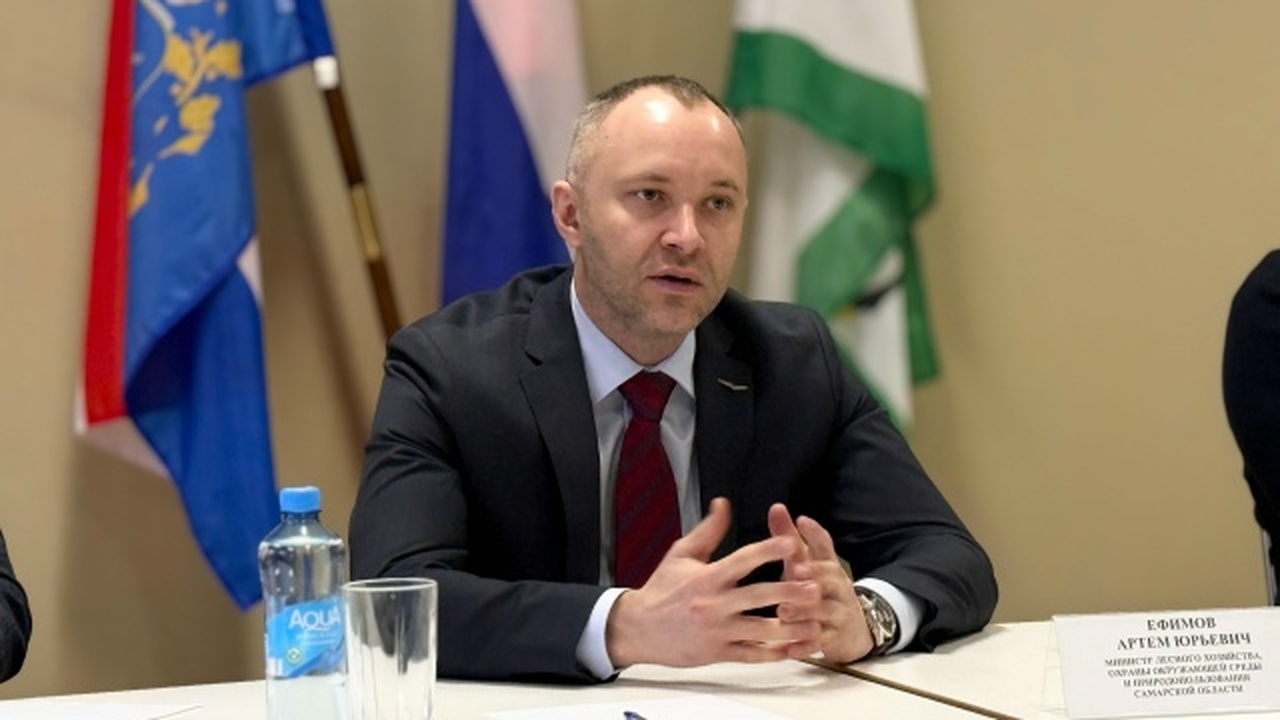 Минприроды Самарской области проверило леса и ТКО в Рощинском Волжского района На территории района за прошлый год произошло т...