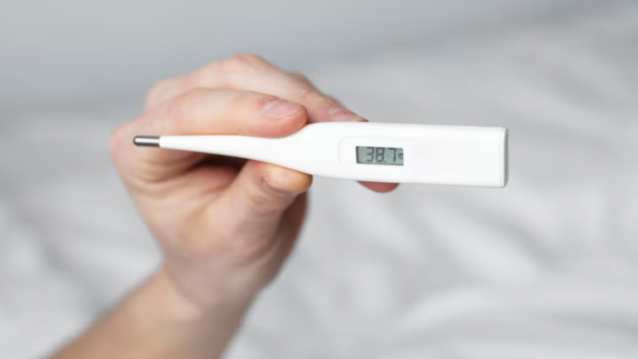 Александр Мясников отметил, что высокая темпера...