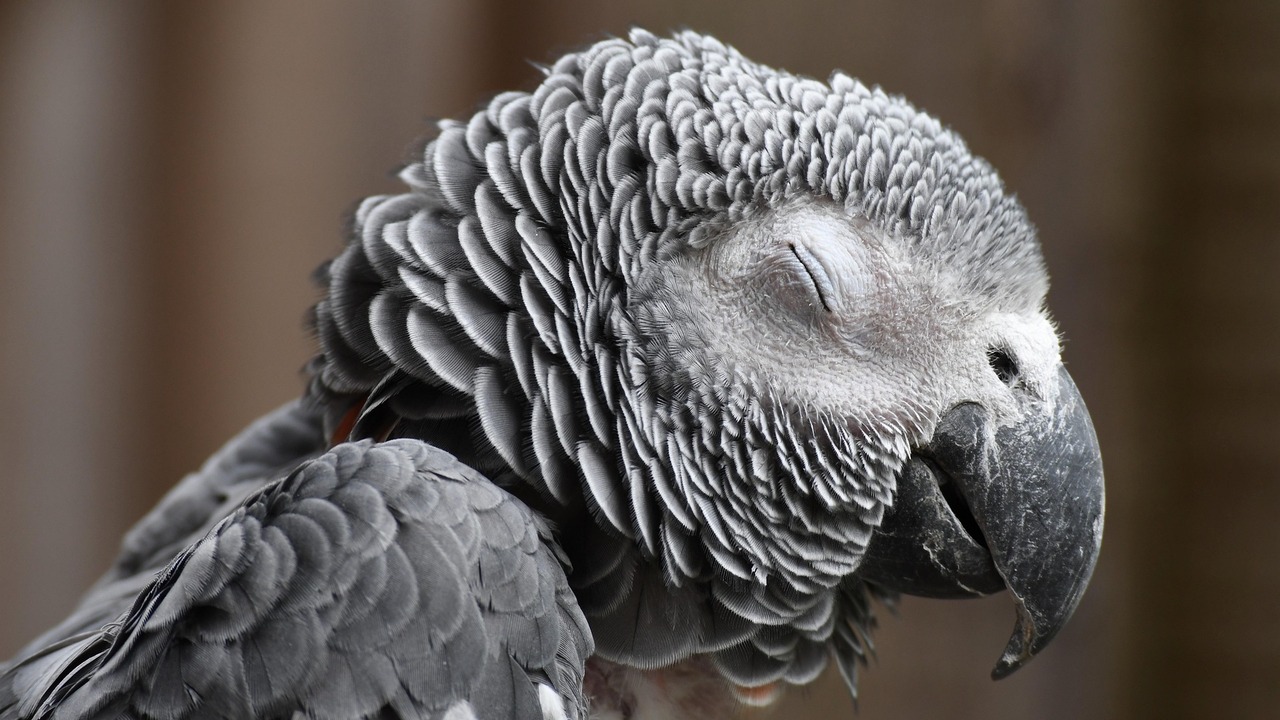 Ученые подчеркнули значимость сохранения паразитов