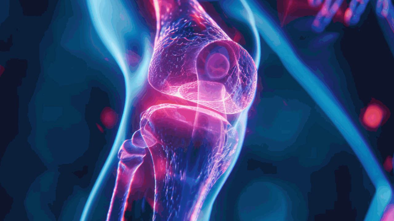 В KCL создали кератиновый материал из шерсти, у...