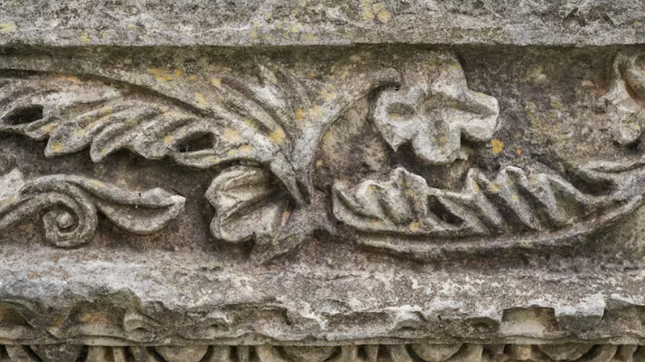 В Корее через 83 года после первой находки обна...