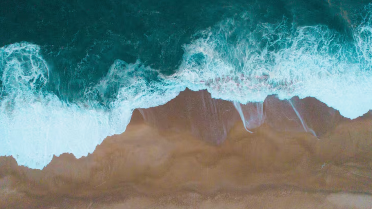 Учёные России и Китая развивают сотрудничество ...