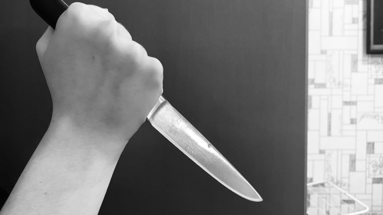 Прятал холодные 15 сантиметров. Мужчина в Самарской области пронес опасность в суд Посетитель попытался пронести в суд Самары 15-с...
