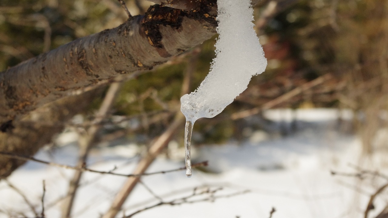 До конца февраля в регионе сохранятся морозы