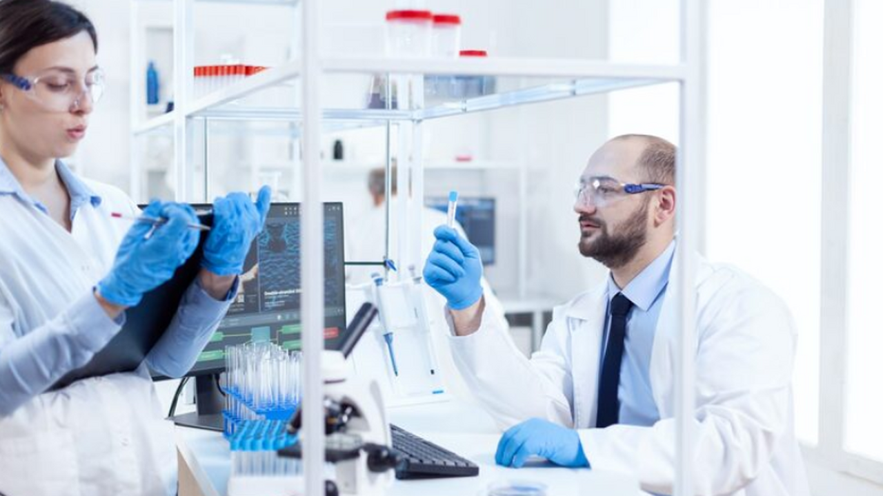 У мышей можно частично обратить возрастные изме...