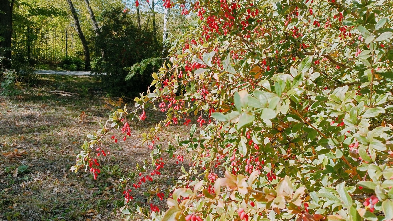 Синоптики Самарской области предупреждают о дождях и мокром снеге в рабочие дни Ближе к концу недели ожидается потепление