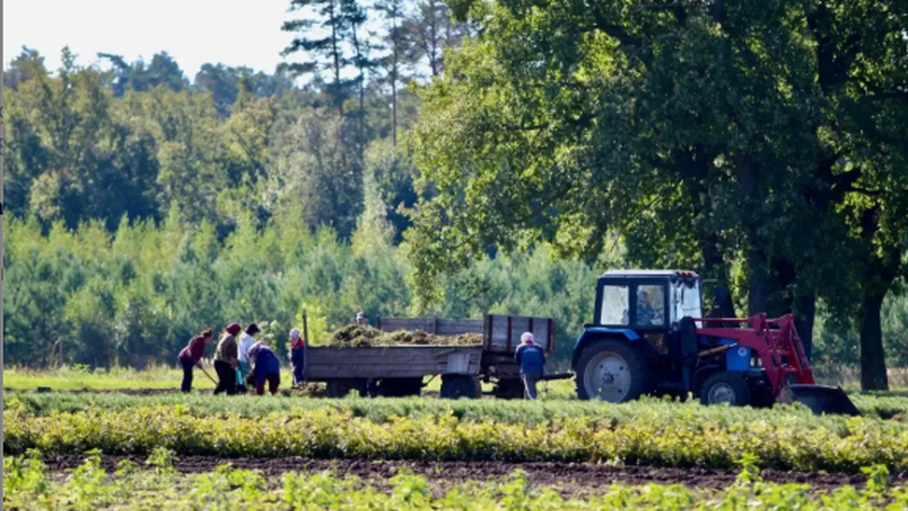 Общая площадь работ превысит 850 гектаров