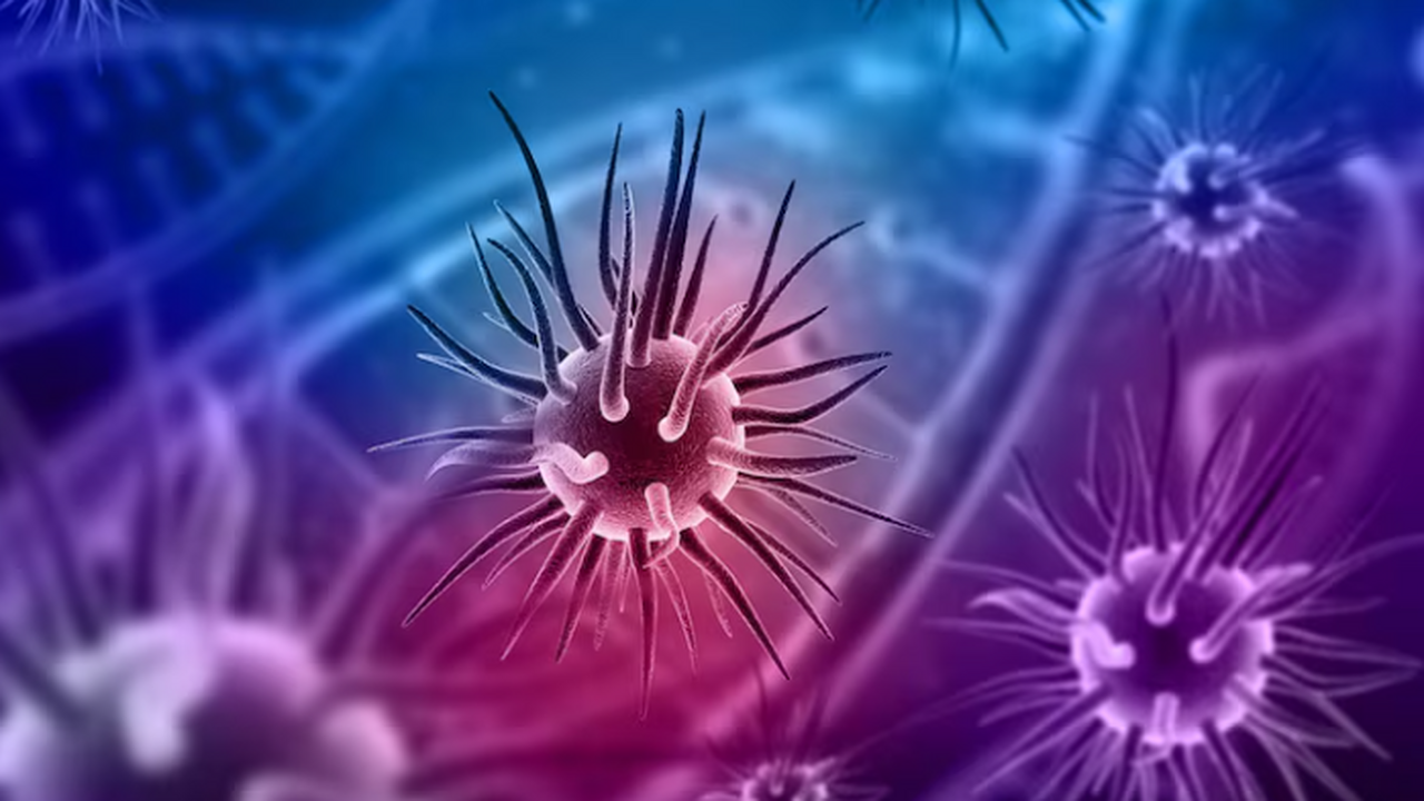 Новое исследование показывает, что Enterococcus...