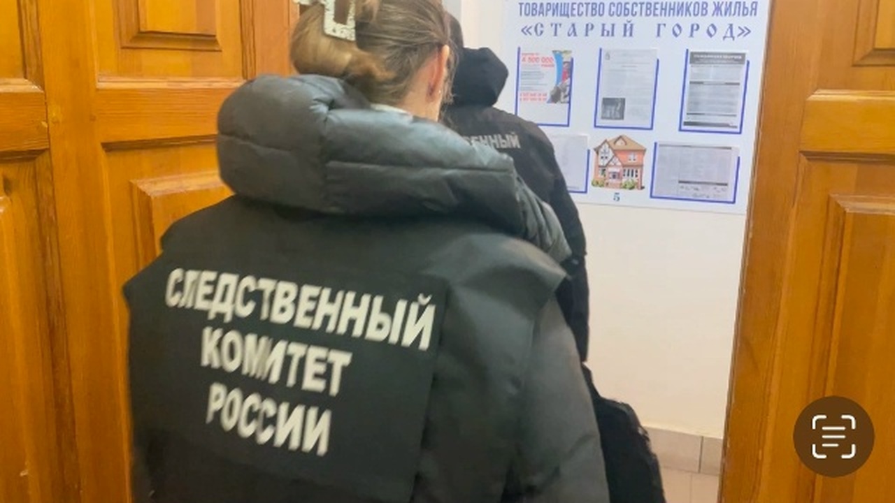 Информация о драке шестиклассников появилась в ...