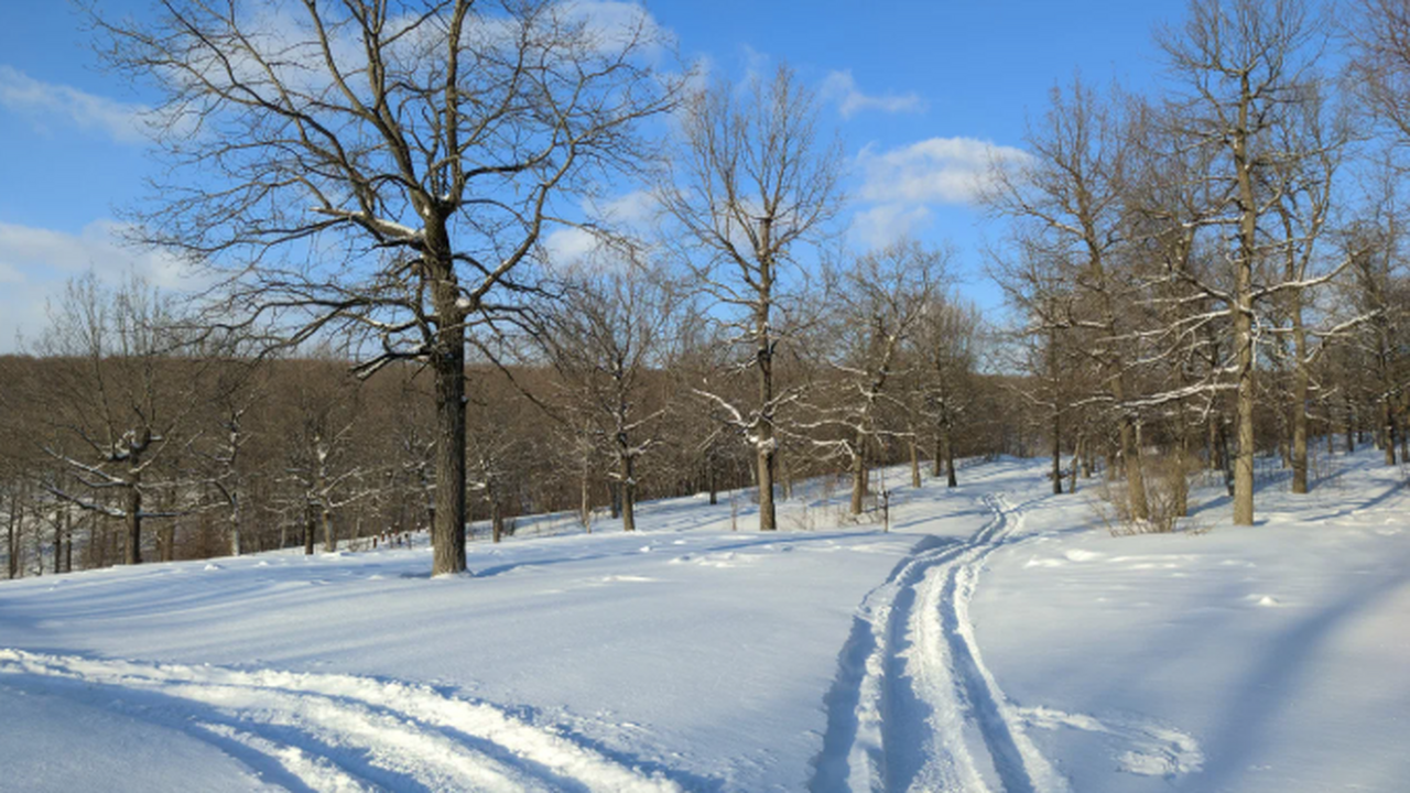 В соцсетях появилась информация о переводе част...