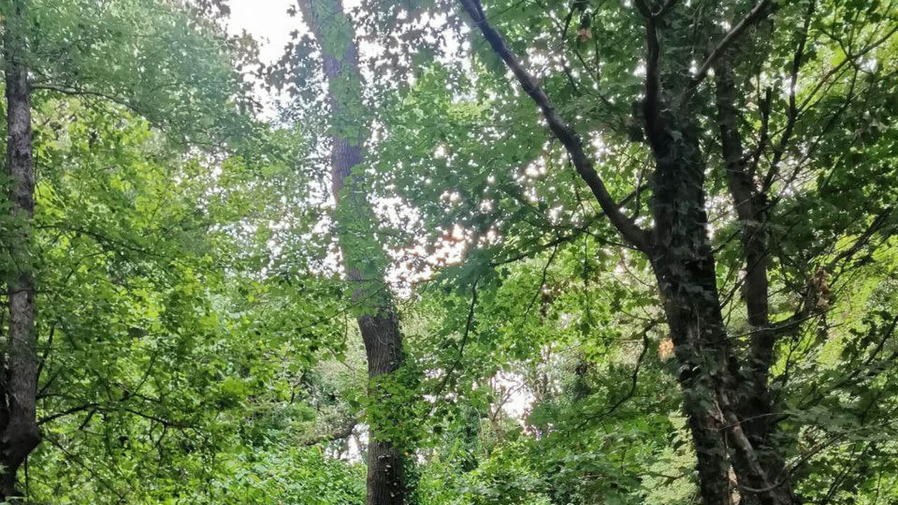 В Самарской области продолжается суд за более ч...