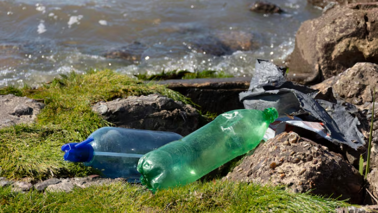 Скопления микропластика в Байкале выявили у при...