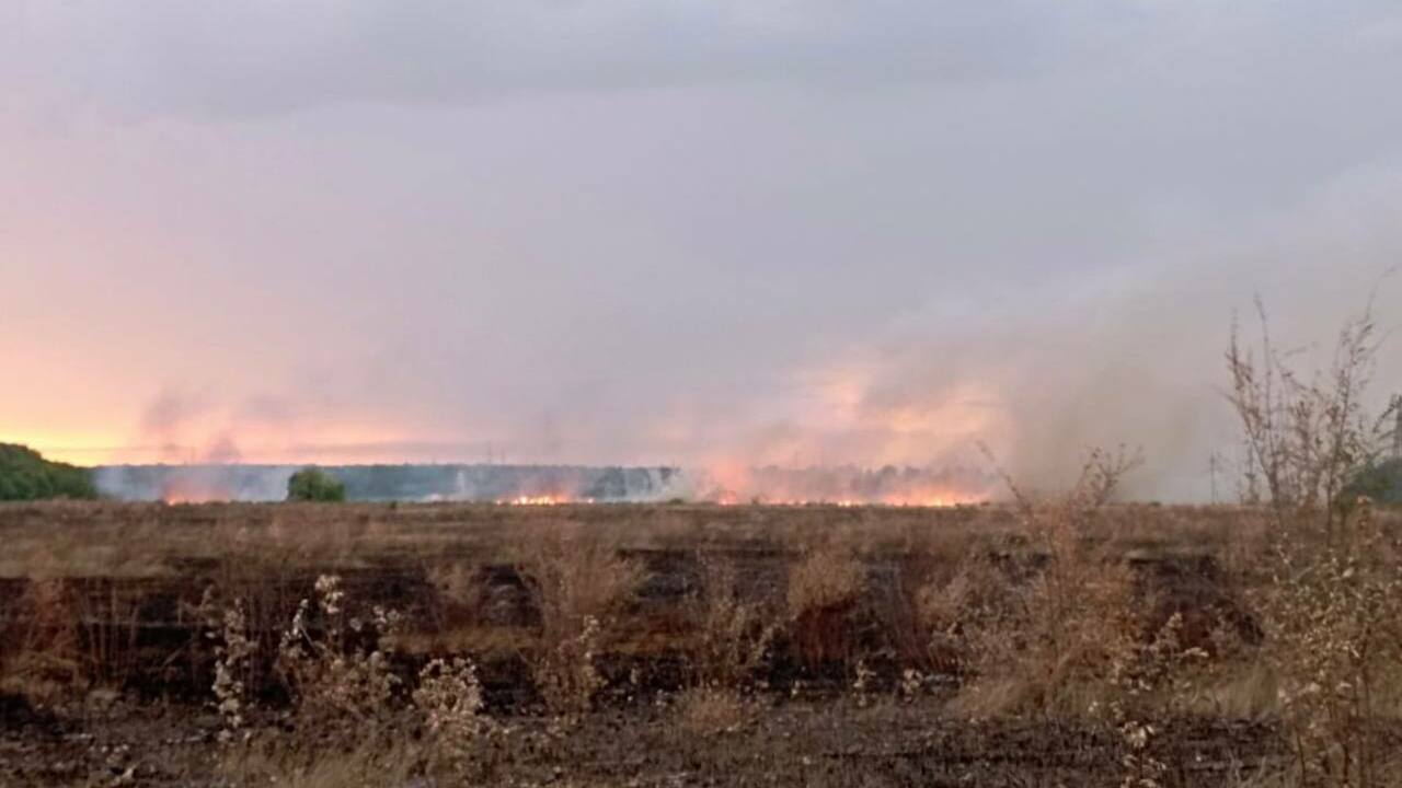 Перехода огня в лес не допустили: в Самарской области за выходные лесники трижды спасли лес от огня В текущем сезоне уже ликвидировано 18 лесных по...