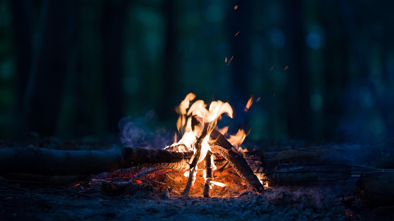 Осужденный имел навыки выживания в экстремальны...