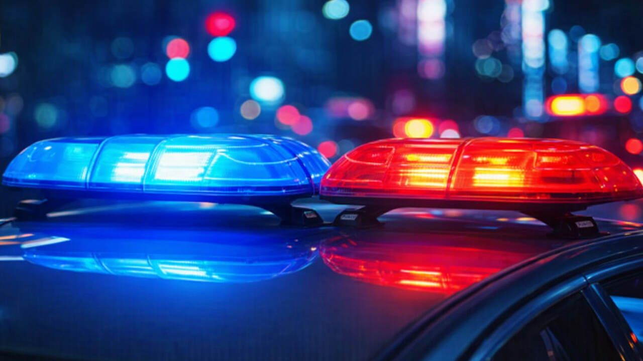 В США обнаружили живой Кристину Мари Планте, пр...