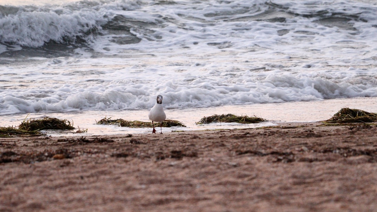 Об этом свидетельствуют данные о повышении соле...