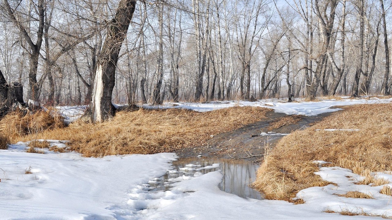 Ночные температуры в течение выходных останутся...