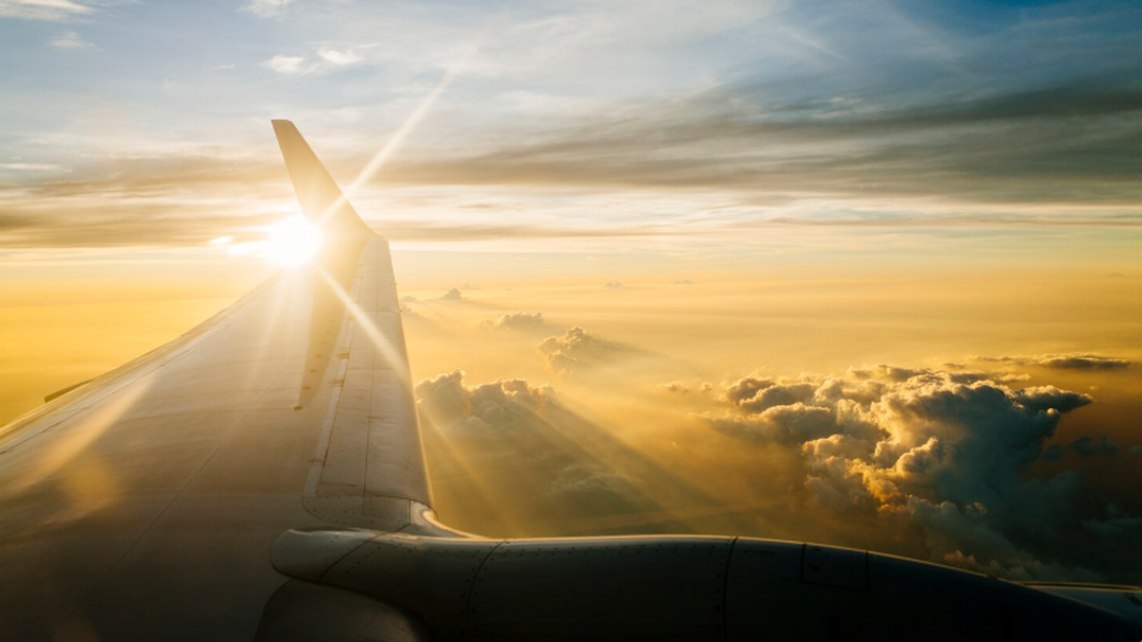 Туроператоры рассказали, какие страны вошли в «...