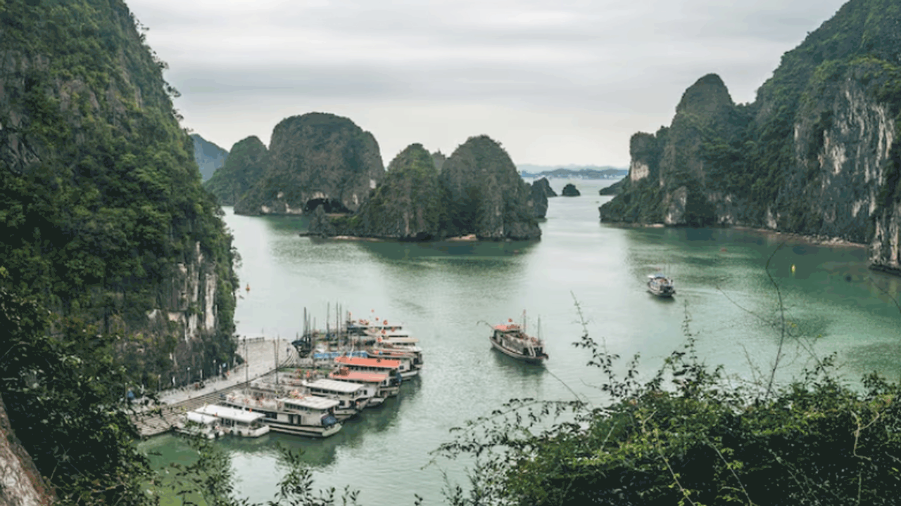 Во Вьетнаме внедряют электронные анкеты для въе...