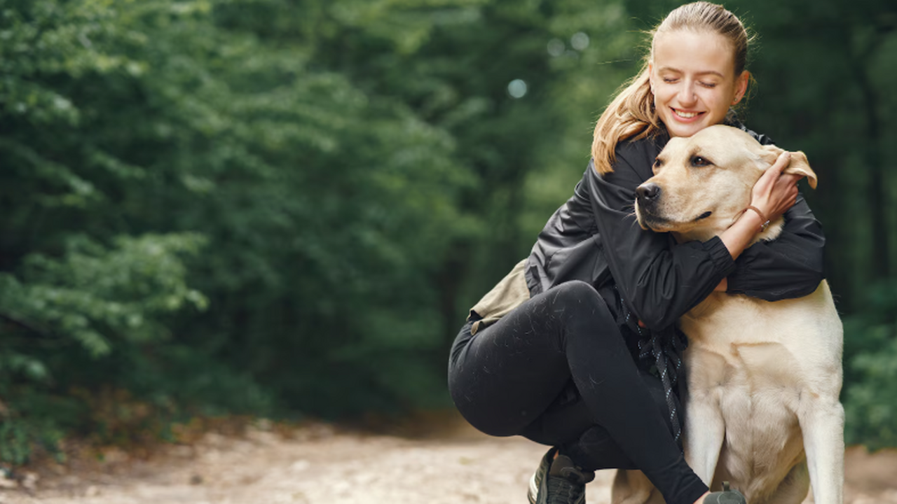 Учёные выяснили, что собаки могут усваивать нов...