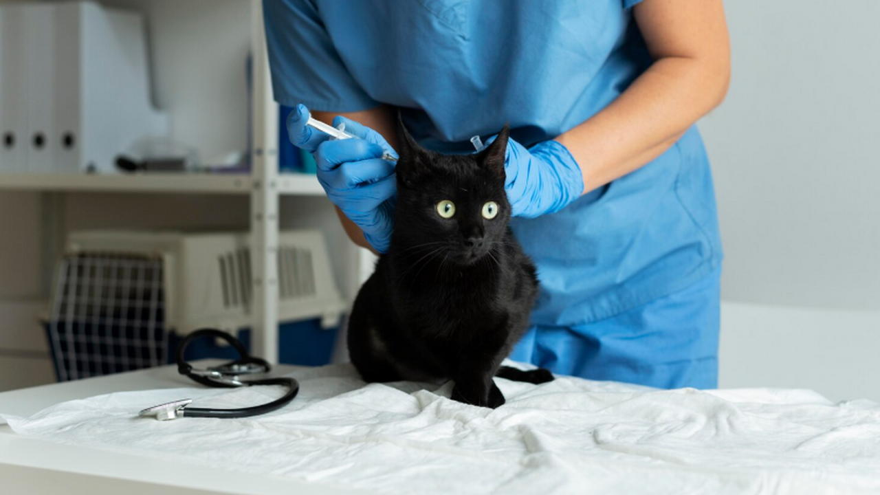 Житель Москвы оказался в долговой яме после тог...