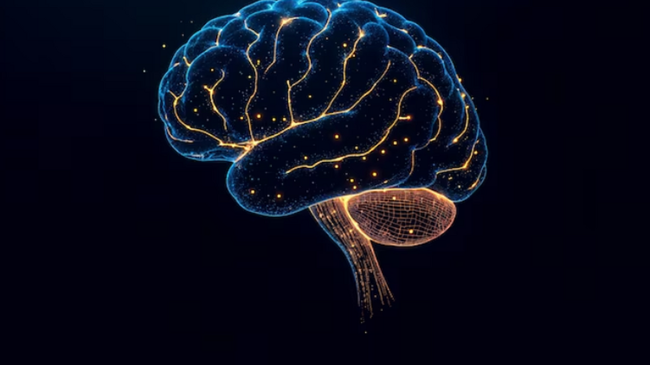 Немецкий физик заявил, что сознание формируется вне мозга человека Физик DIWISS Йоахим Кепплер предложил гипотезу ...