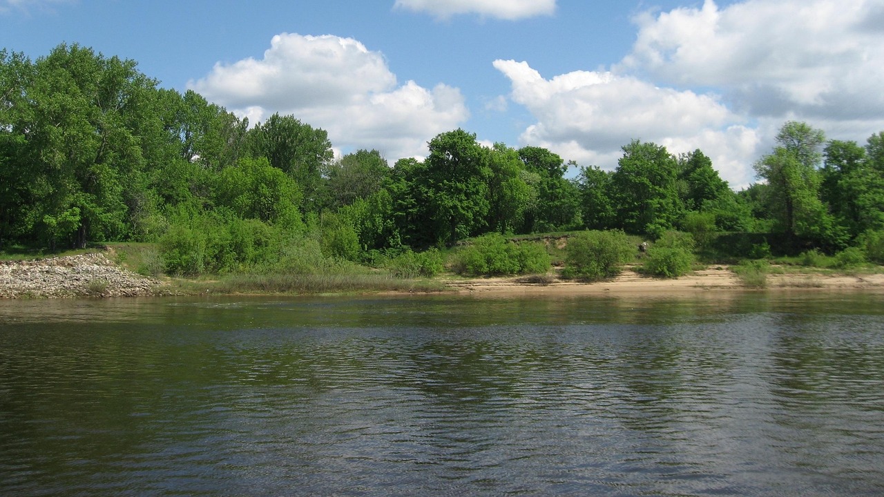 Cреди погибших - топ-менеджер «Яндекса» Сергей ...