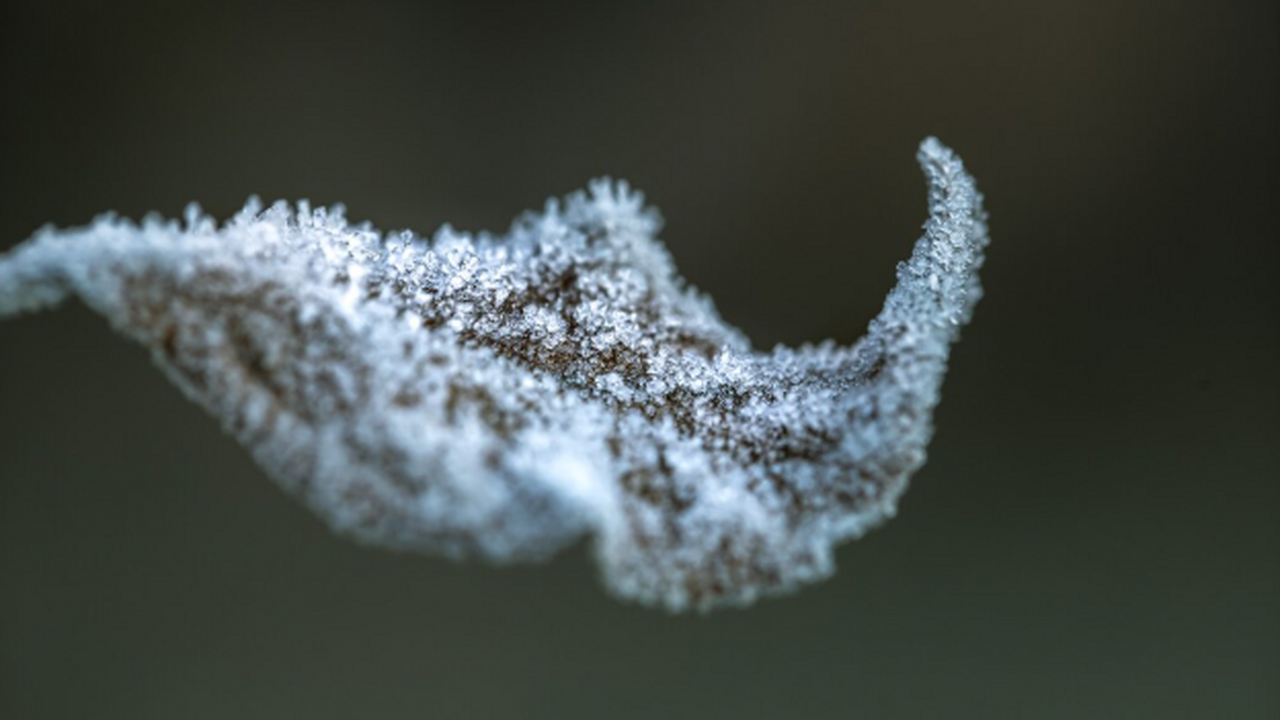 «Минус» на термометре и белые сугробы: осень ре...