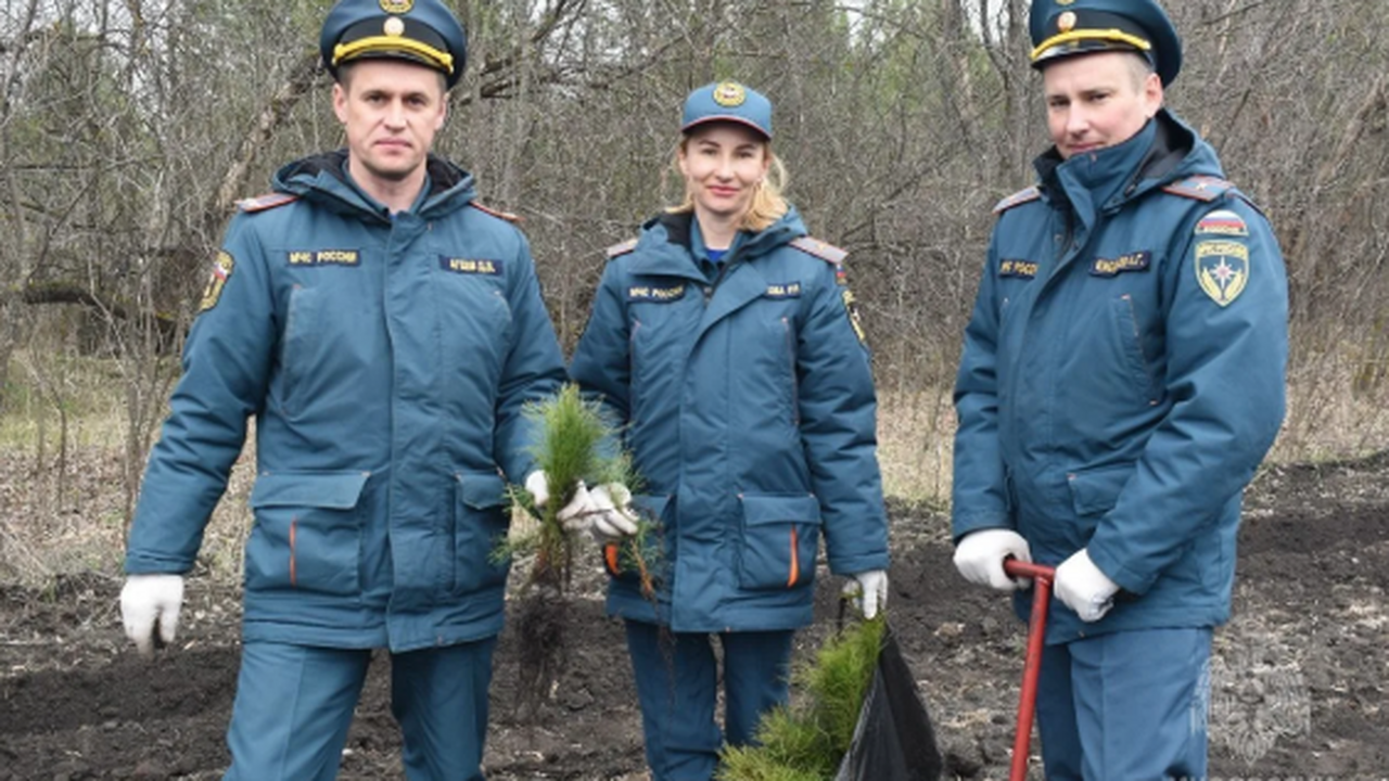 Основные работы развернулись на территории Крас...