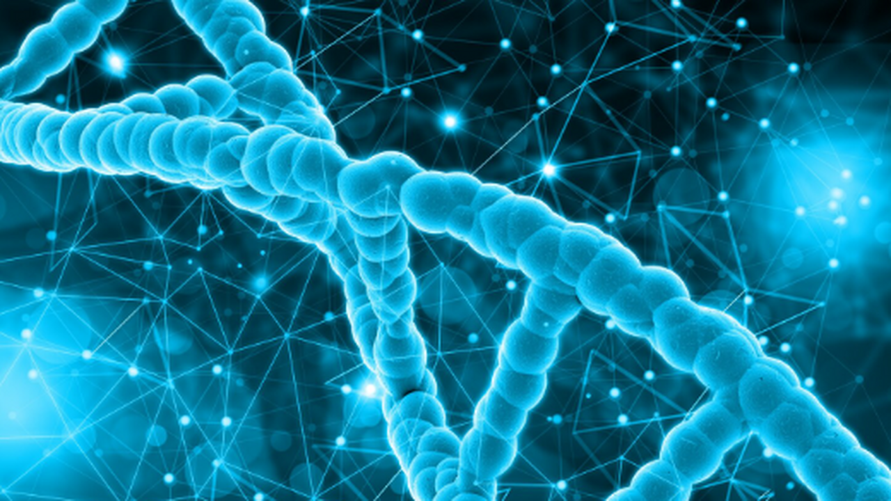 В исследовании сарматов Карпатского и Румынског...