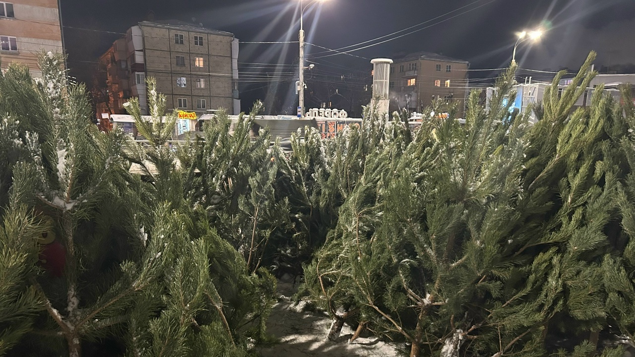 Администрация Самары определила 12 площадок для елочных ярмарок Торговля будет идти до последнего дня года