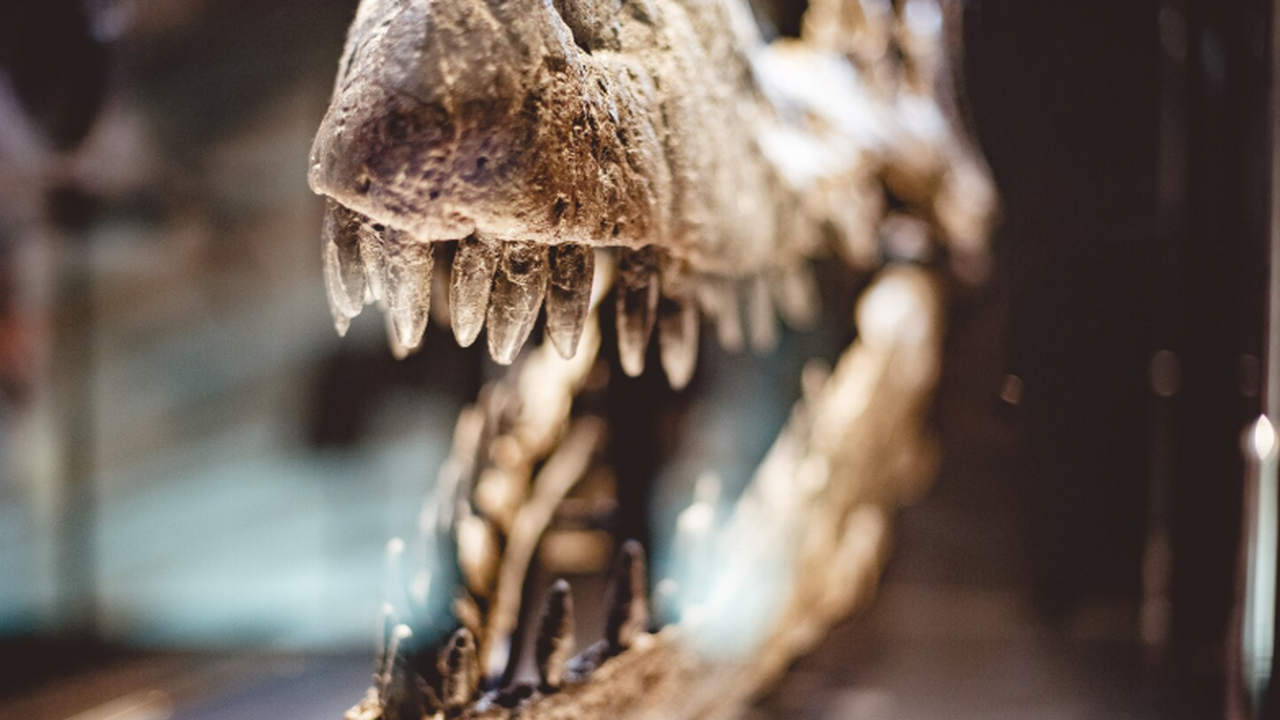 Группа ученых сообщила об открытии в бассейне Х...