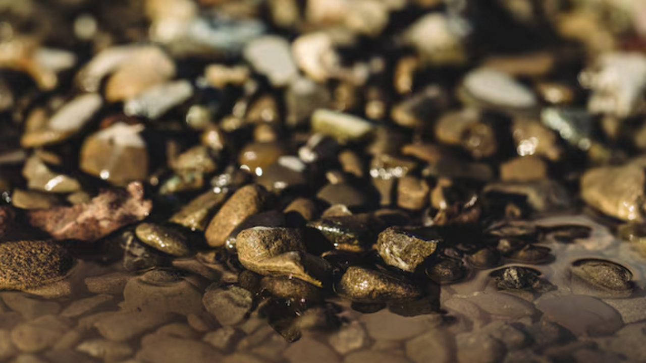 В России начали продавать камни из желчных пузы...