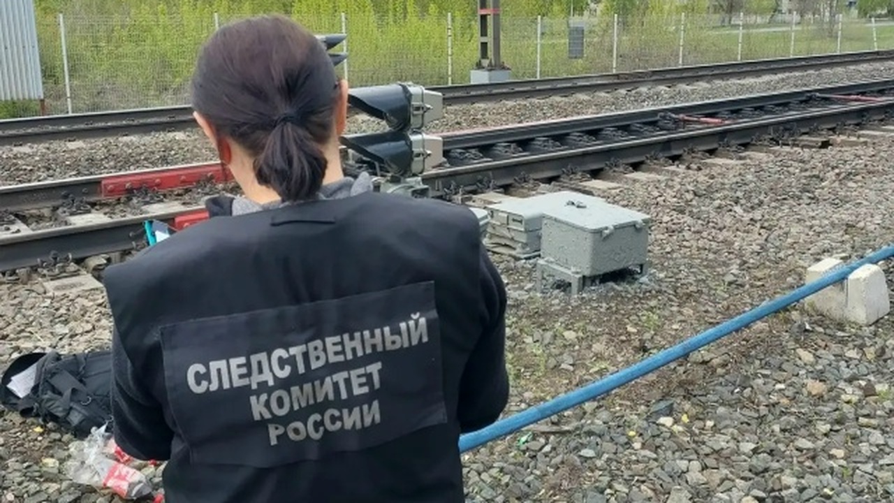 Следственными органами организована проверка по...