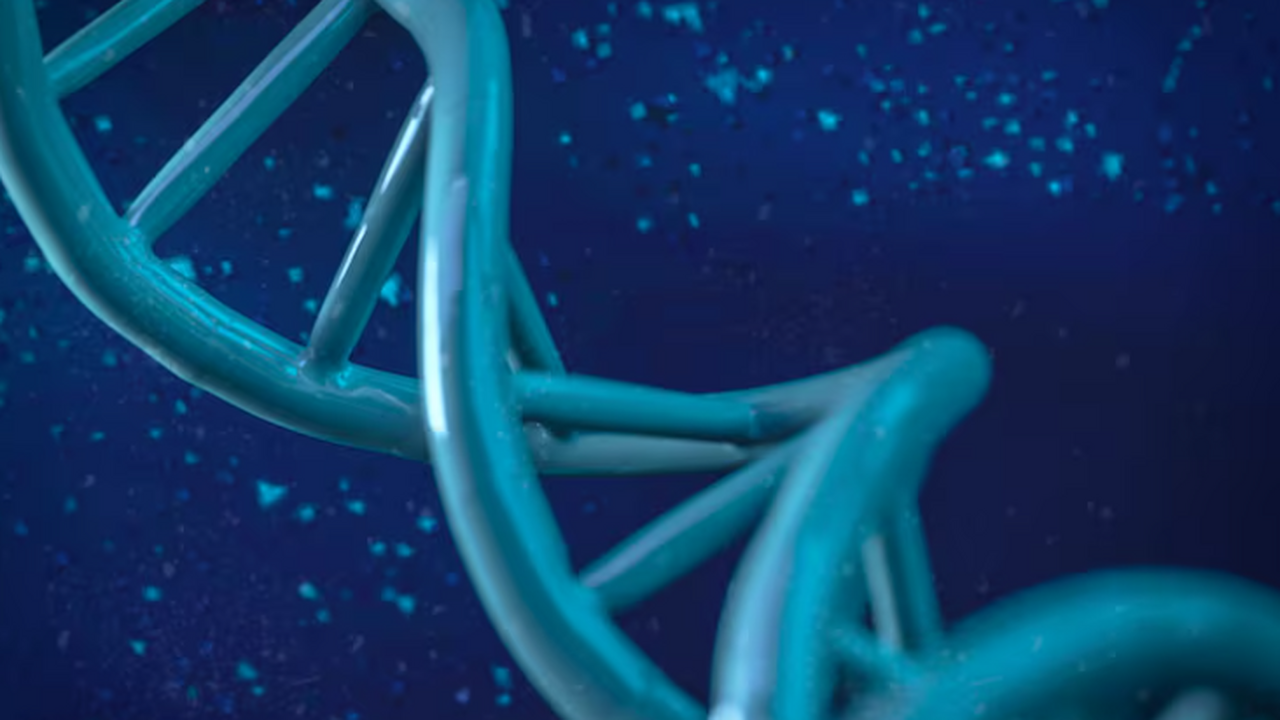 Исследователи выявили гены-регуляторы терморегу...