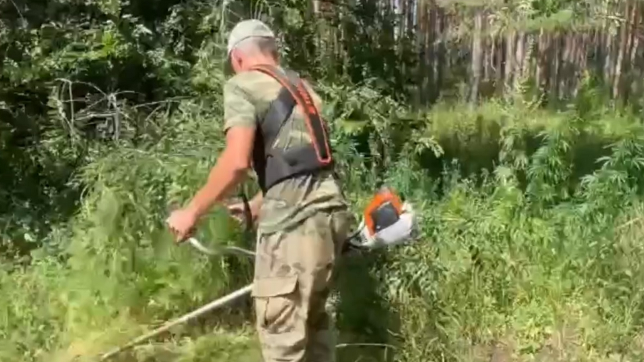 В Комсомольском районе Тольятти скосили поле ко...