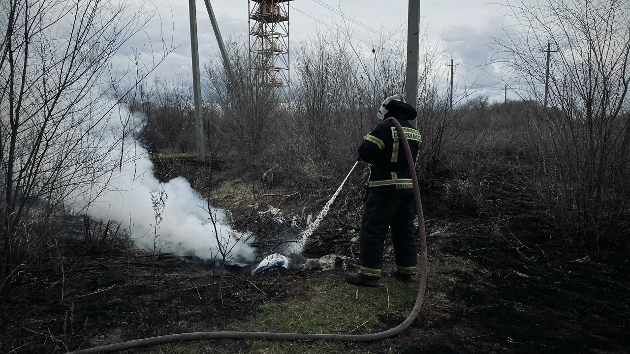 Общая площадь возгораний составила порядка 570 ...