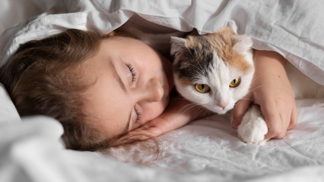 Совместный сон с кошкой может укреплять иммунит...