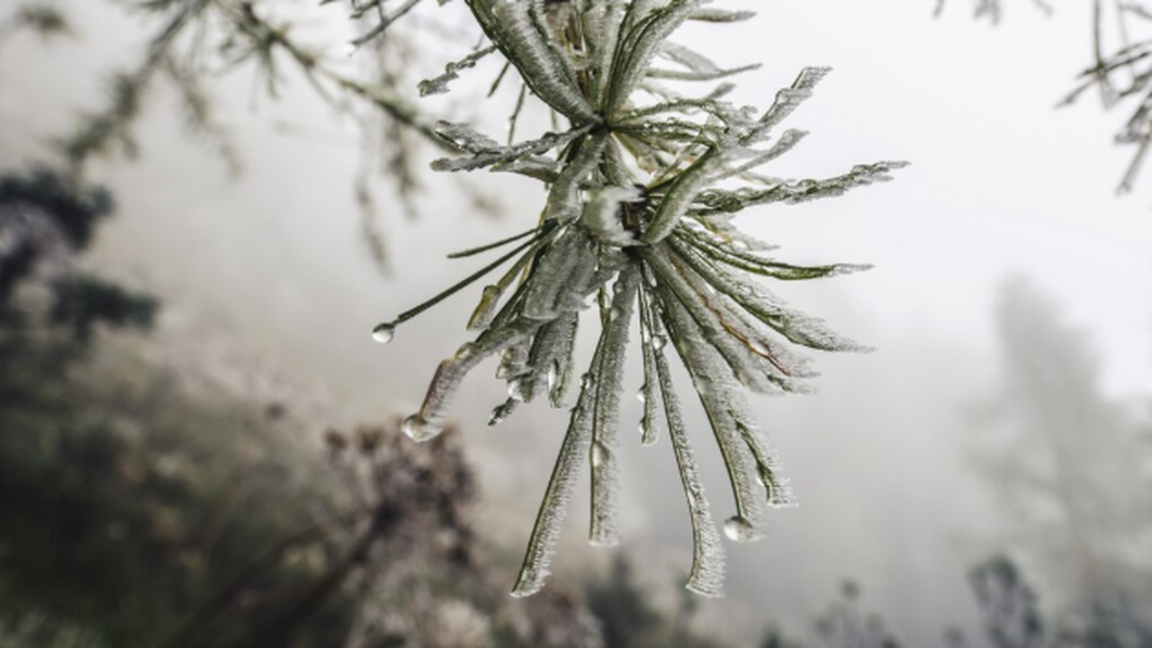 Аномальная зима 2025–2026 в России: где ждать г...