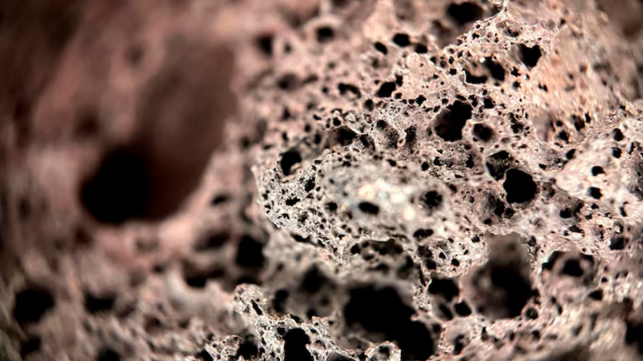 В Пекине нашли первые в Азии следы древних юрских амфибий Учёные сообщили о находке в Пекине следов амфиб...