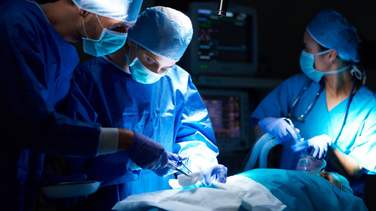 С 2026 года пересадка почки в России проводится...