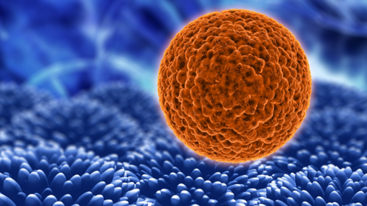 Исследователи выявили, что рак разрушает миелин...