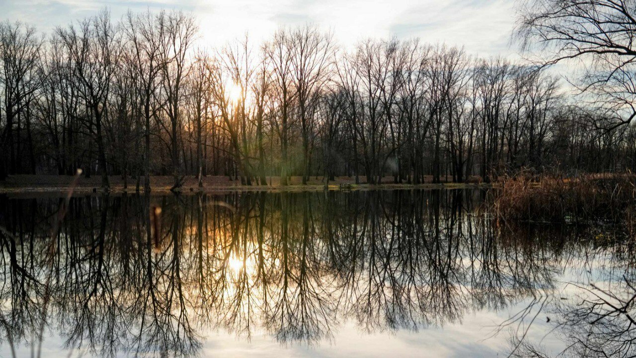 Кроме того, до 2 декабря действует режим НМУ